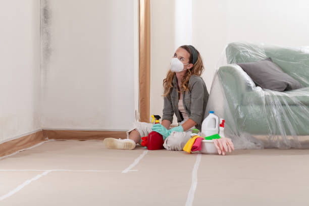 Reliable Mold Remediation contractor in Colleyville, TX by Car Mold Remediation
